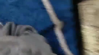鹅蛋广州白洁少妇水太多被粗大塞满