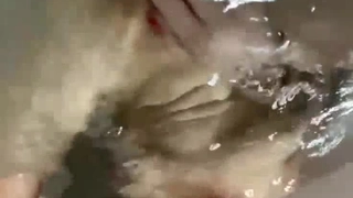 国产成人精品久久亚洲高清不卡20150523
